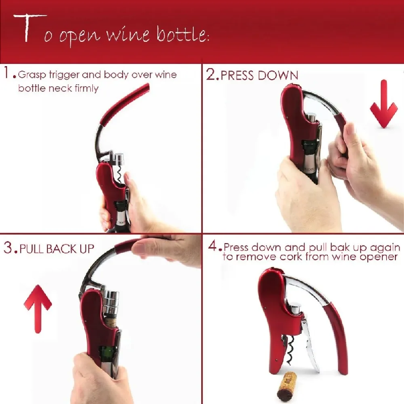 Pembuka Botol Anggur Profesion - Wine In Beer Bottle ulasan dan harga